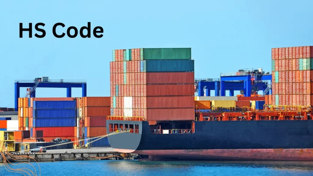 Penalty for wrong use of HS Code:
