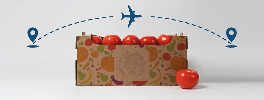 European Standards for Exporting agricultural products: What Global Producers Need to Know