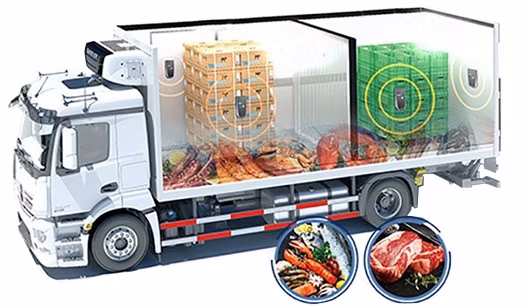 Benefits of Cold Chain Logistics