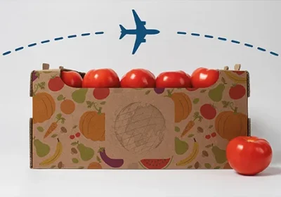 European Standards for Exporting agricultural products: What Global Producers Need to Know